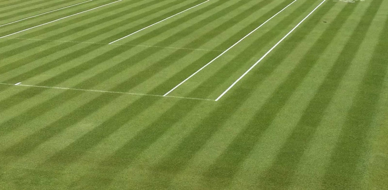 Wimbledon 2019 weiterhin nur im Pay-TV